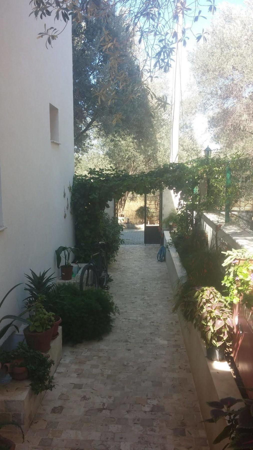 Kaptan Motel Siğacık Buitenkant foto